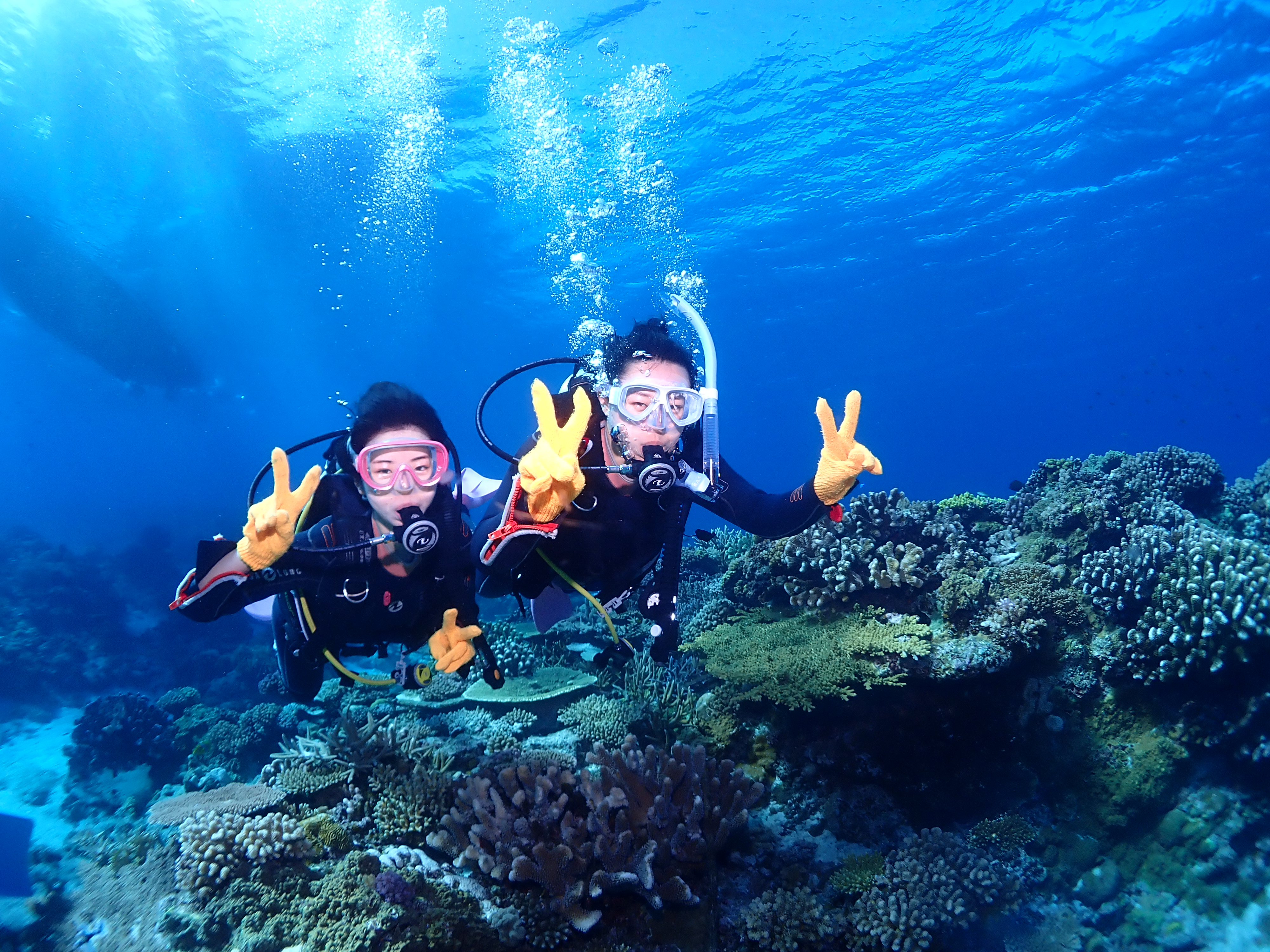 体験ダイビング水中